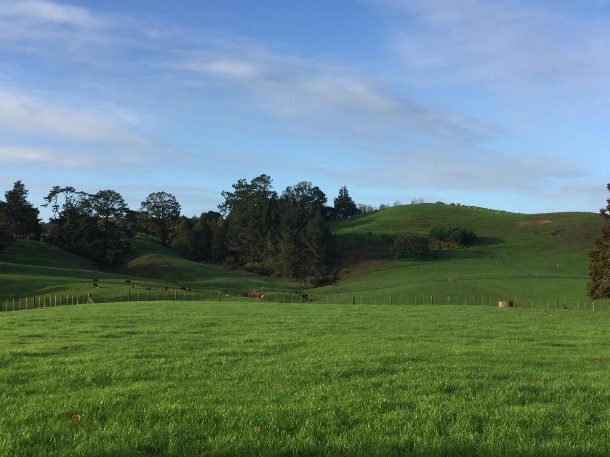 Veld View Bed And Breakfast Tuakau Luaran gambar