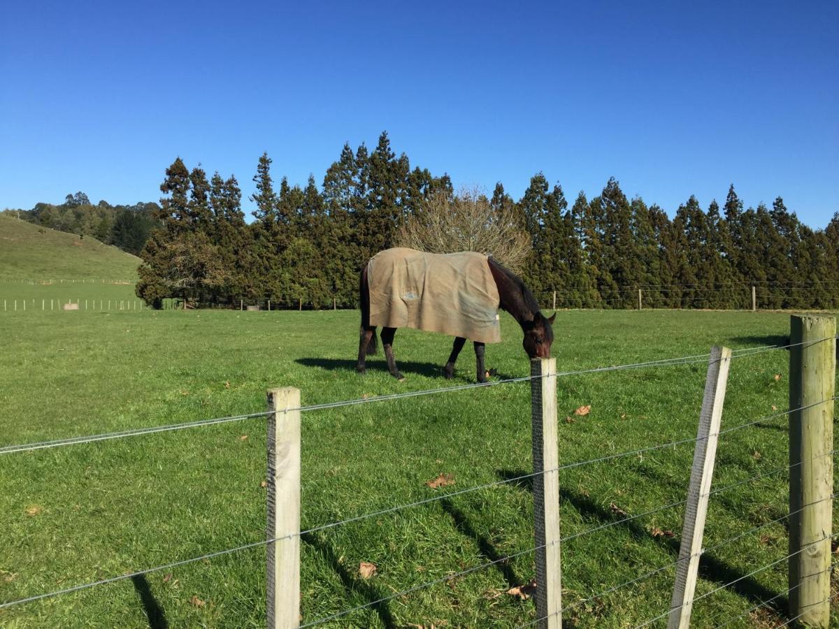 Veld View Bed And Breakfast Tuakau Luaran gambar