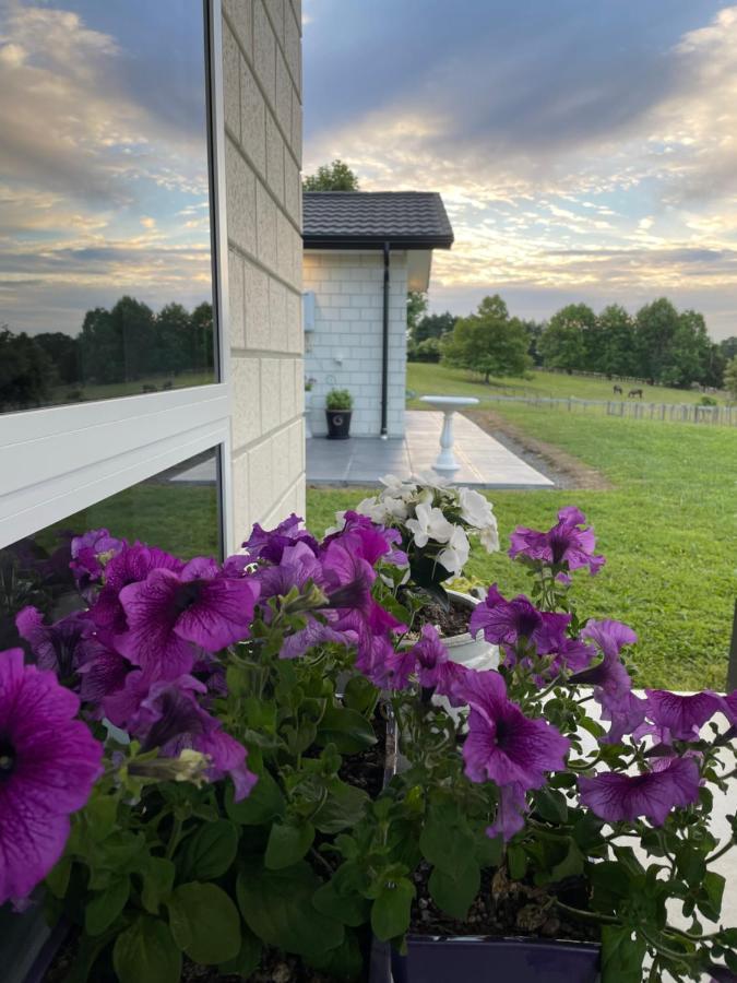 Veld View Bed And Breakfast Tuakau Luaran gambar