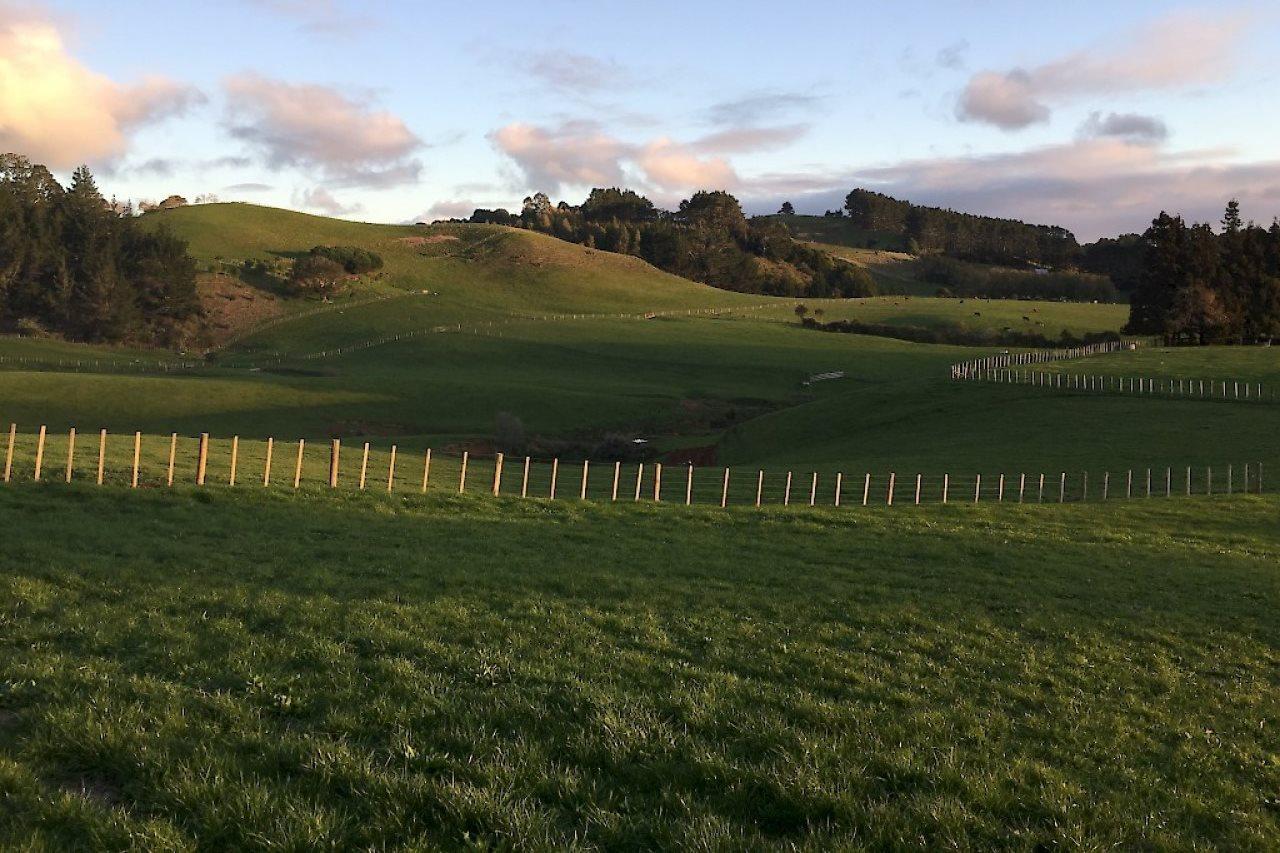 Veld View Bed And Breakfast Tuakau Luaran gambar